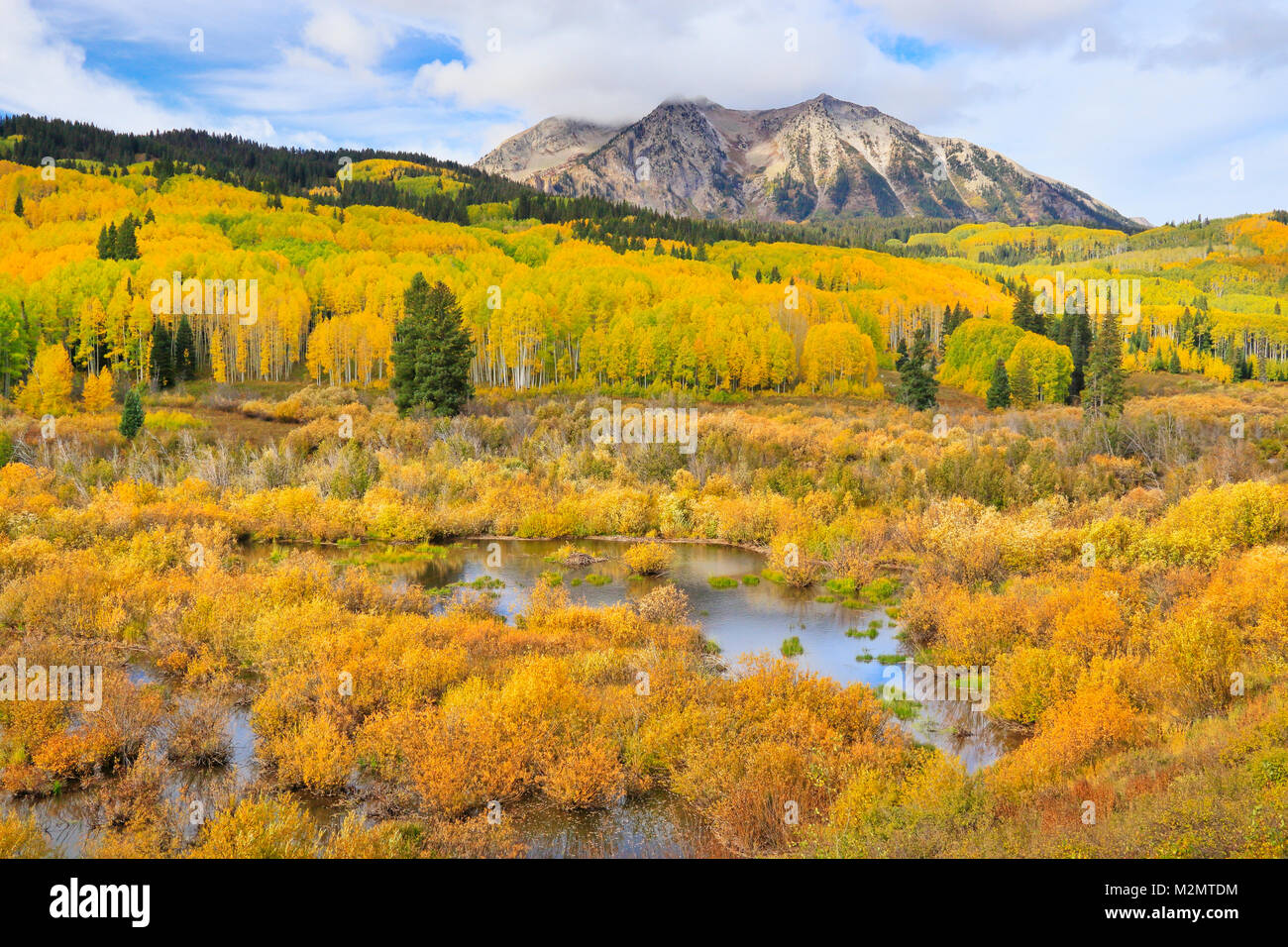 East Beckwith montagna, Kebler Pass, Crested Butte, Colorado, STATI UNITI D'AMERICA Foto Stock