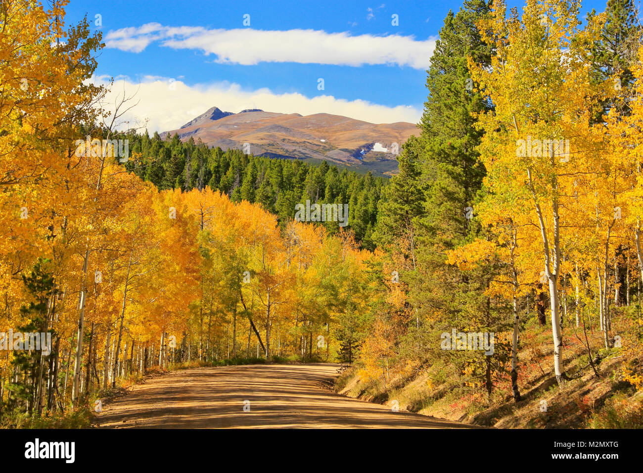 Grumo Gultch Road, Nederland, Colorado, STATI UNITI D'AMERICA Foto Stock