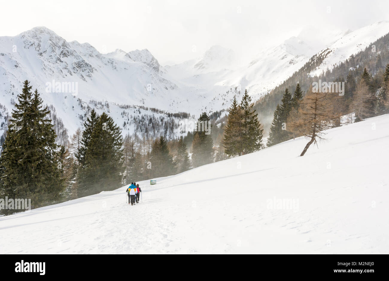 Un gruppo di persone in inverno la natura passeggiate attraverso il paesaggio innevato. Belle montagne invernali paesaggio con neve fresca Foto Stock