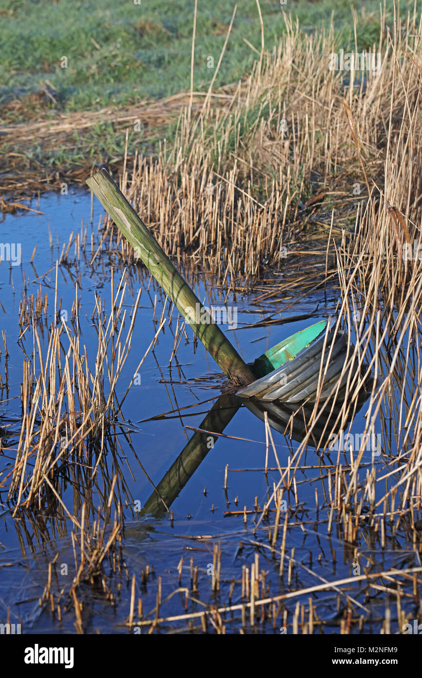 Svuotare dal fosso in marsh al livello più elevato Stewardship terra Hempstead, Lessingham, Norfolk, Regno Unito Gennaio Foto Stock