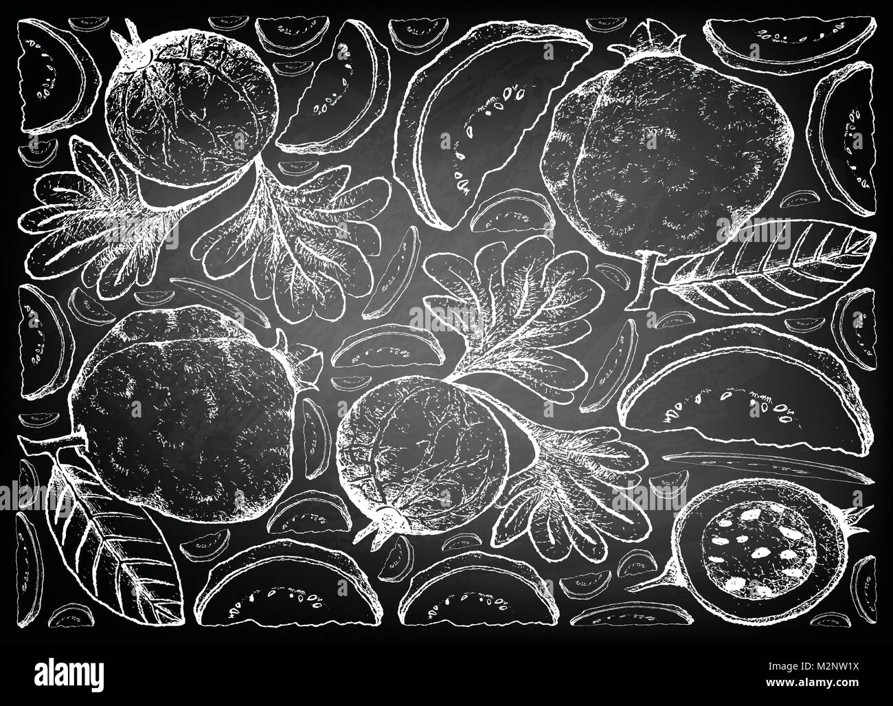 Frutti tropicali, lo sfondo dell'illustrazione di mano il bozzetto di guava e Indiane e uva spina Frutti sulla lavagna. Illustrazione Vettoriale