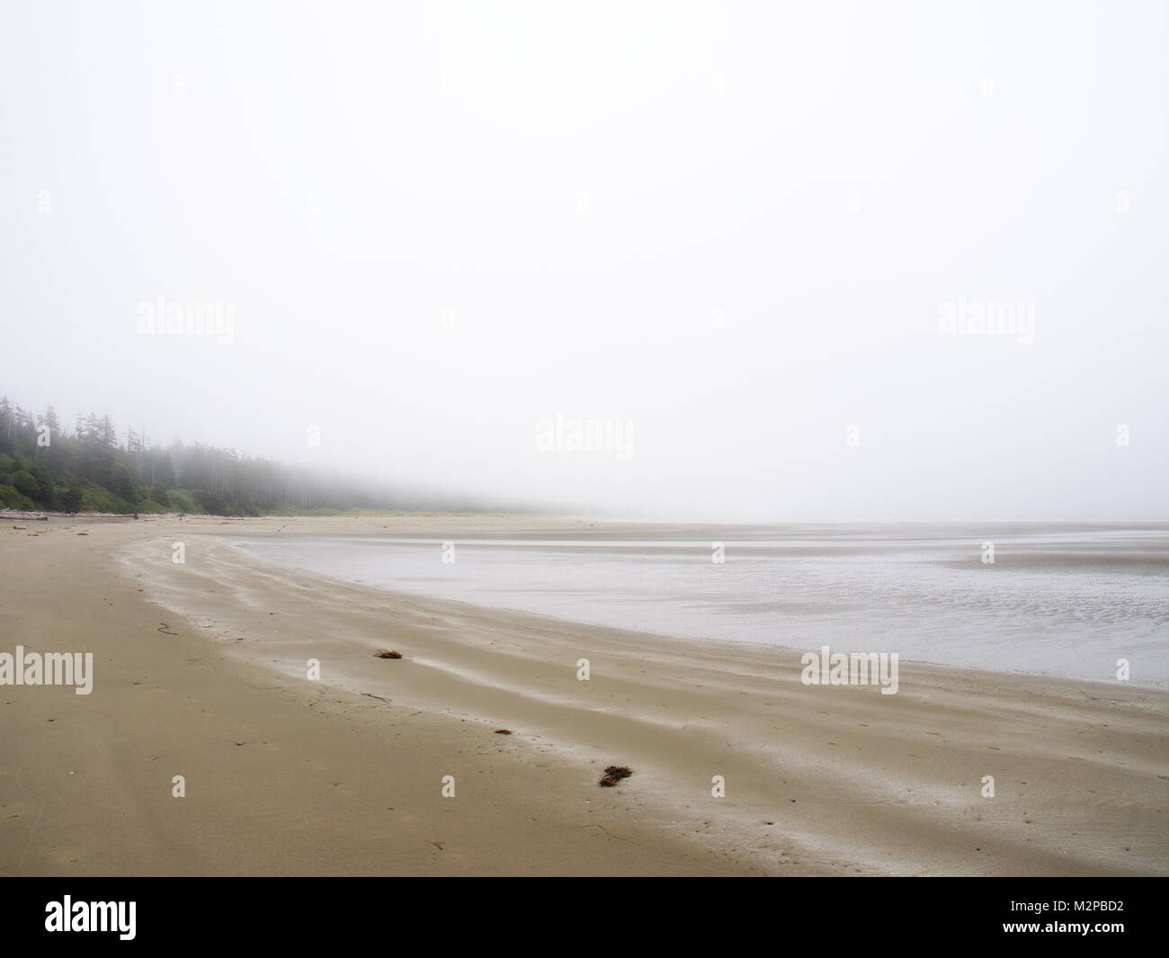 Tofino, Combers beach, nella nebbia - Giugno 30/2017 - guardando verso sud. Una fitta nebbia si fonde l'oceano verso il cielo. Foto Stock