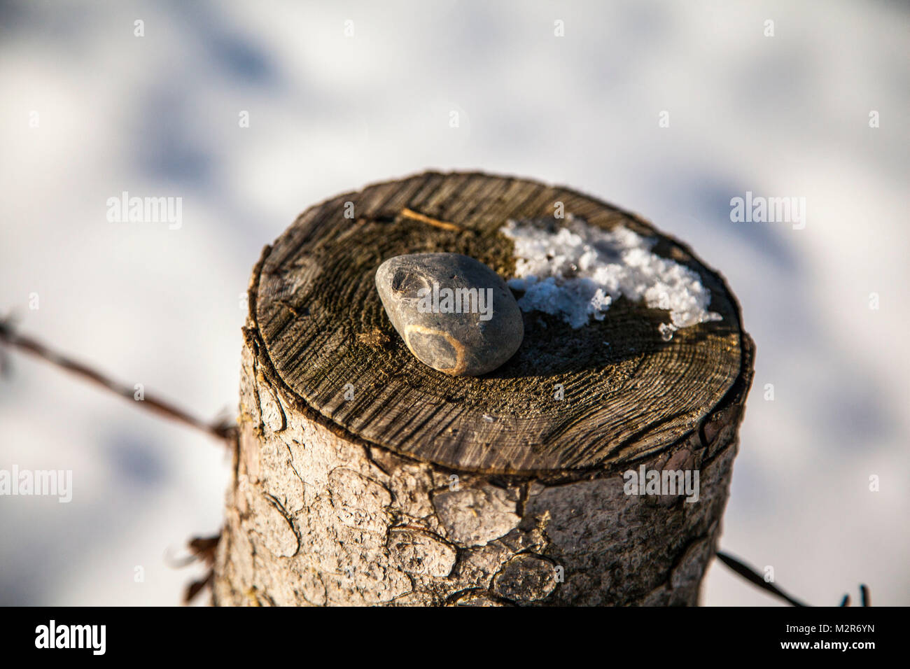 Una pietra si trova su un palo di recinzione, scena invernale Foto Stock