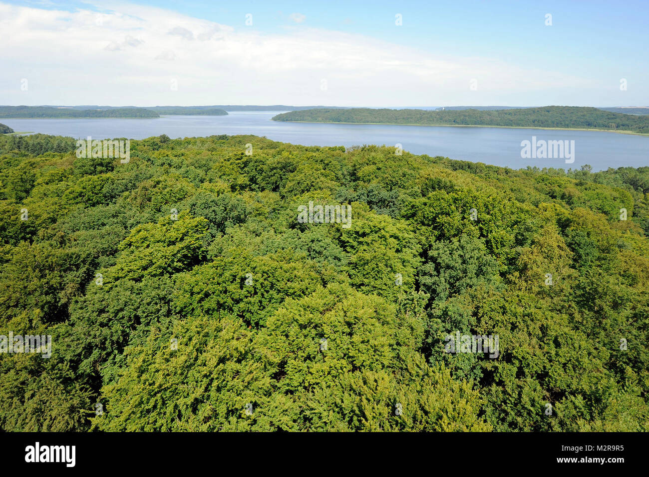 Vista dalla torre di osservazione "Adlerhorst" del "Baumwipfelpfad' (percorso) mixed foreste decidue Rügens, il Mar Baltico e il Jasmunder Bodden Foto Stock