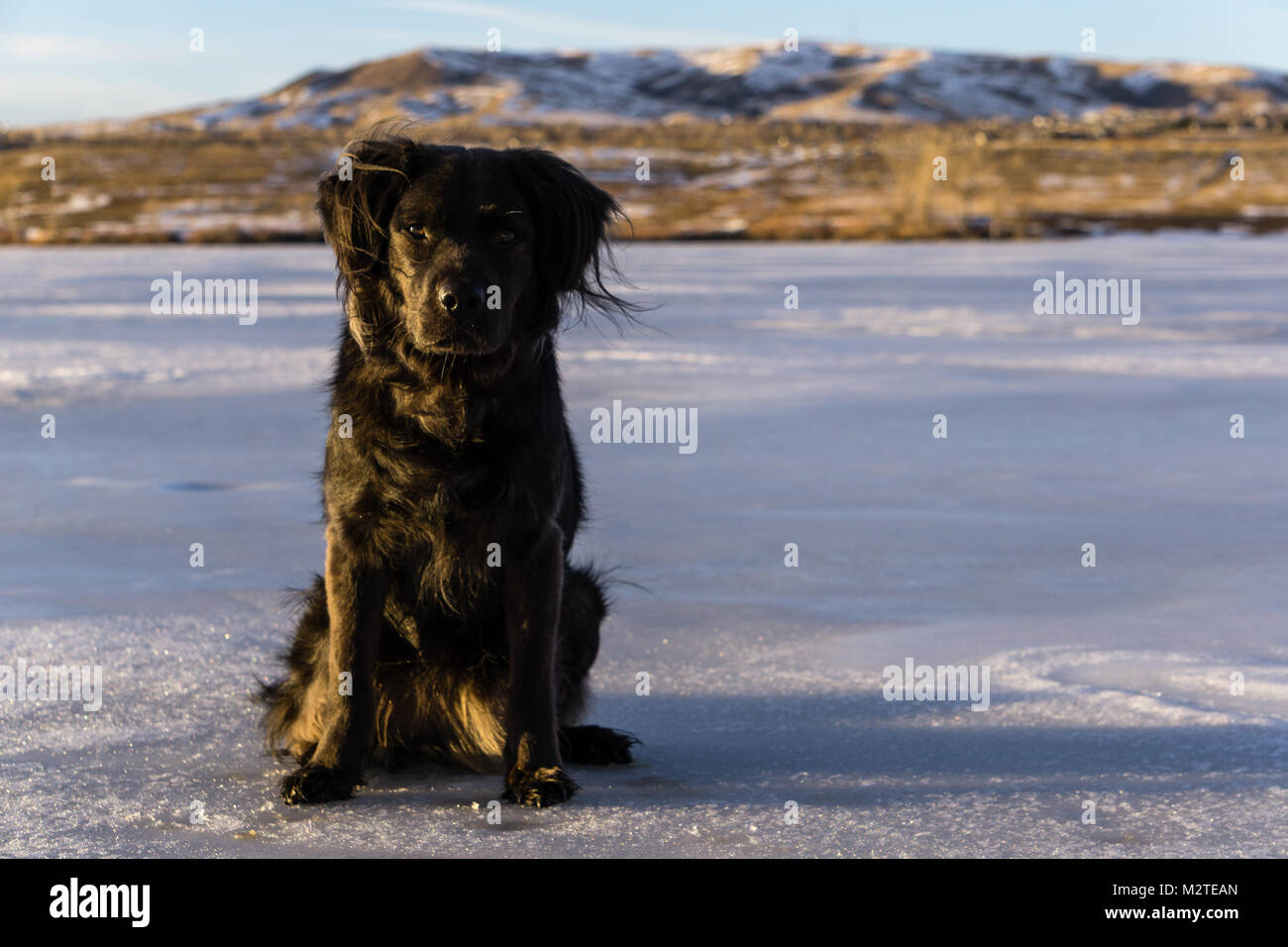 Pesca sul ghiaccio su un congelati Bear Creek Lake. Lakewood, Colorado. Foto Stock