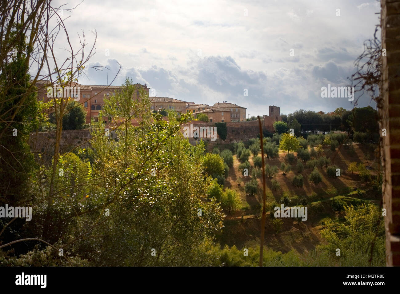 Vista delle mura di Siena da Porta Laterina attraverso la Porta San Marco, con oliveti tra: Siena, Toscana, Italia Foto Stock
