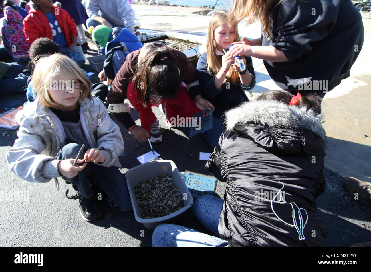 Virginia Beach Seatack quarta elementare livellatrici visitato distretto di Norfolk, U.S. Esercito di ingegneri per misurare la temperatura dell'acqua e della salinità e misurare la crescita del bambino ostriche Dicembre 2, 2011. Il Corps hanno collaborato con gli studenti per sollevare il bambino ostriche nel fiume del Elizabeth lungo il litorale di Norfolk del distretto di proprietà. In futuro, le ostriche sarà utilizzato per costruire un oyster reef. (U.S. Foto esercito/Kerry Solan) 111202-A-ET072-049 da norfolkdistrict Foto Stock