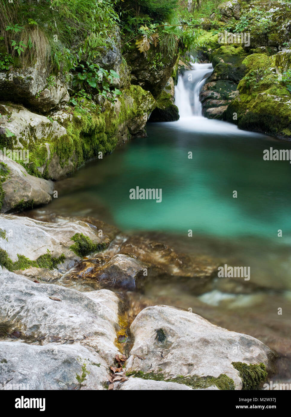Soca, una piccola cascata vicino la sorgente, il parco nazionale del Triglav, sulle Alpi Giulie, Slovenia Foto Stock