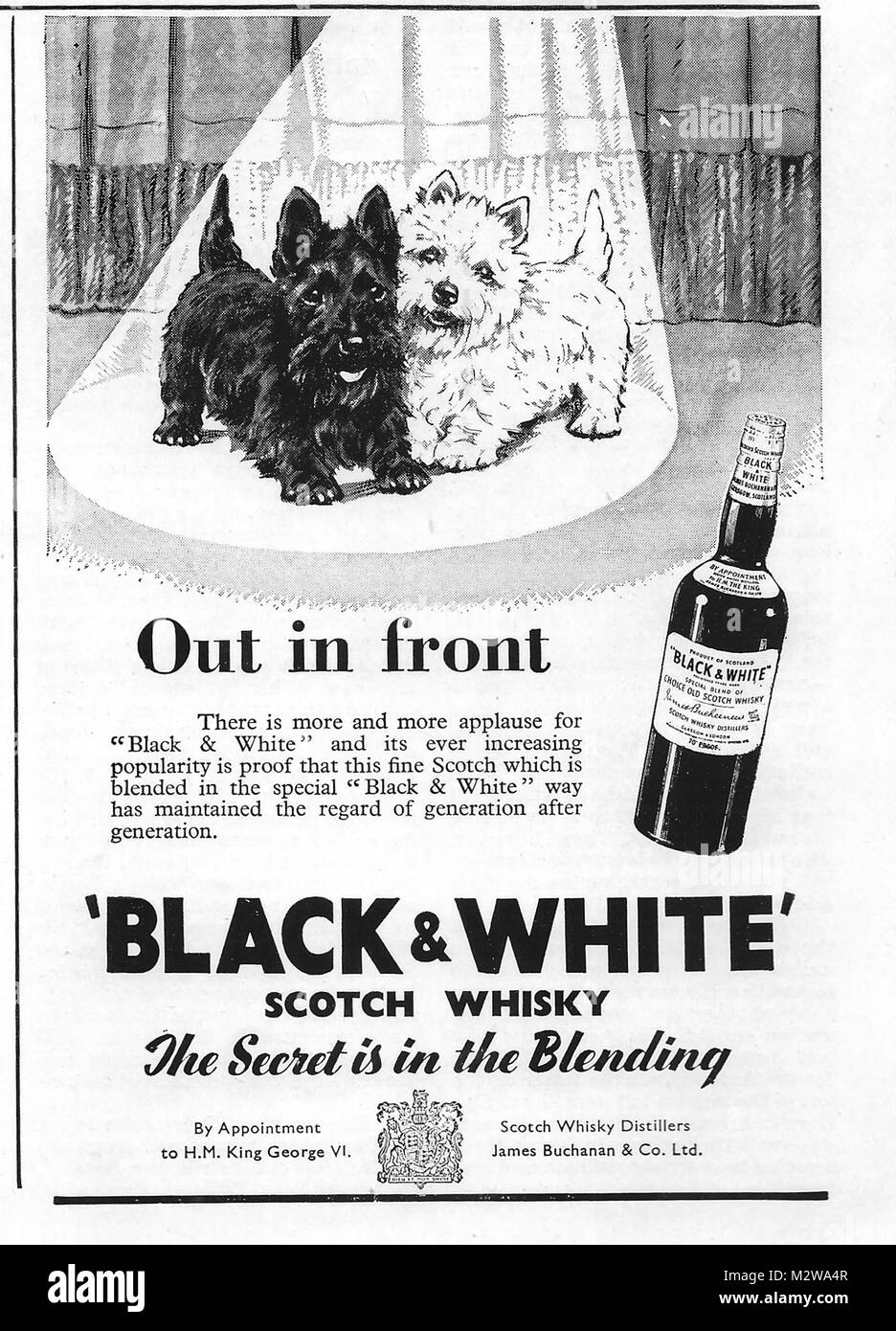 In bianco e nero di scotch whisky annuncio, pubblicità nel paese di vita magazine UK 1951 Foto Stock