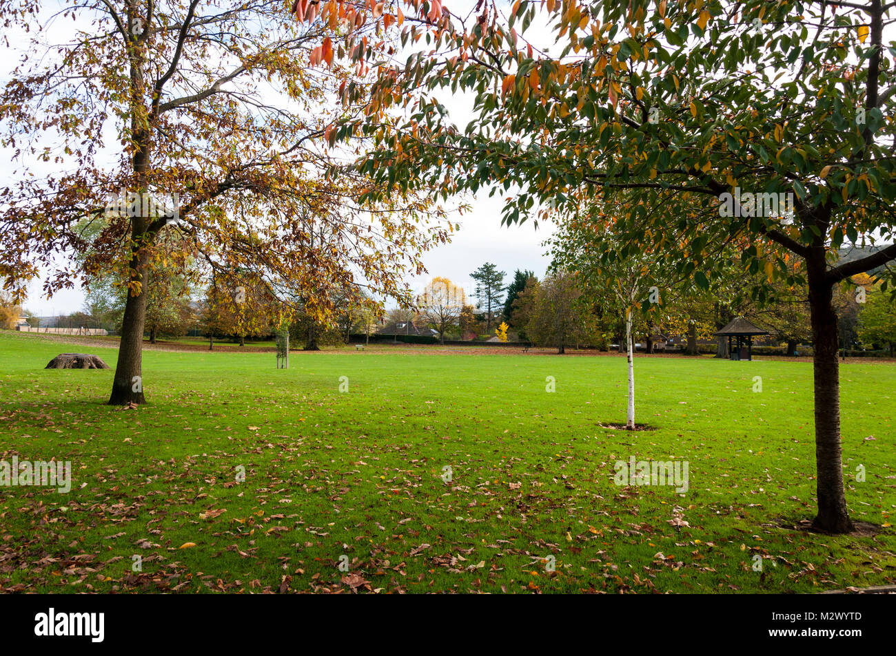 Alice parco vicino Larkhall, bagno, Somerset, Regno Unito Foto Stock