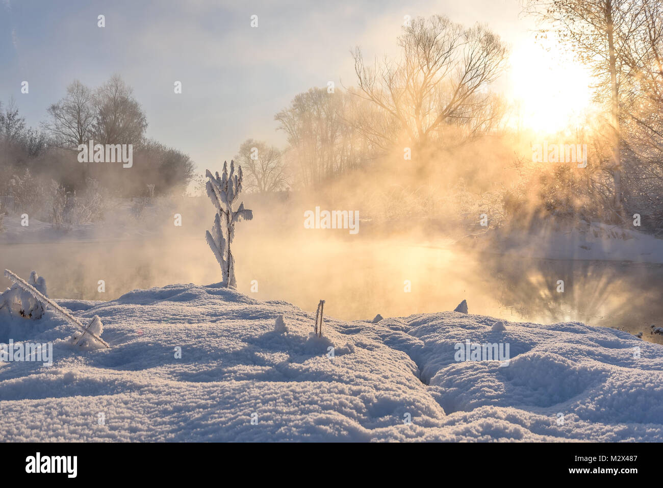 Bright sole invernale con raggi, cumuli di neve, erba e alberi in la brina e riflessi nell'acqua di lago Foto Stock