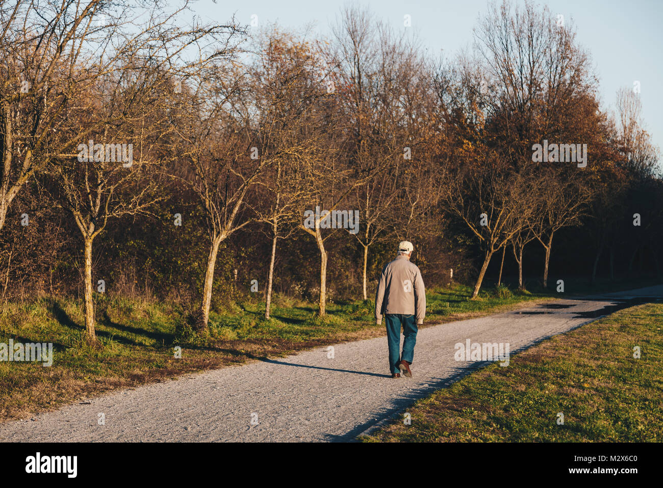 Da soli senior uomo a camminare e godere di una passeggiata in un parco d'autunno al tramonto. Foto Stock