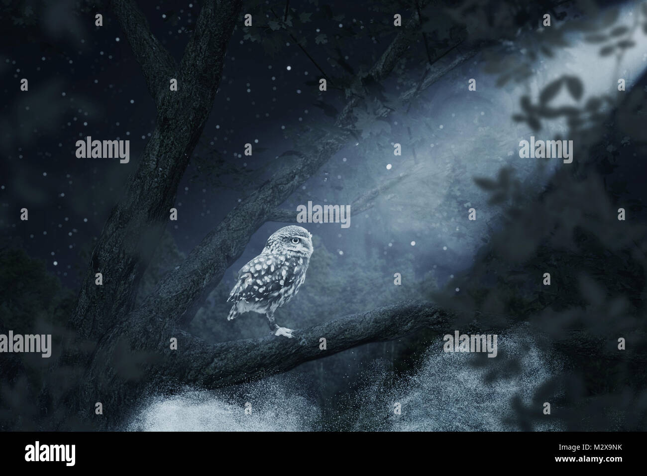 Risveglio owl seduta su albero illuminato dal chiaro di luna Foto Stock