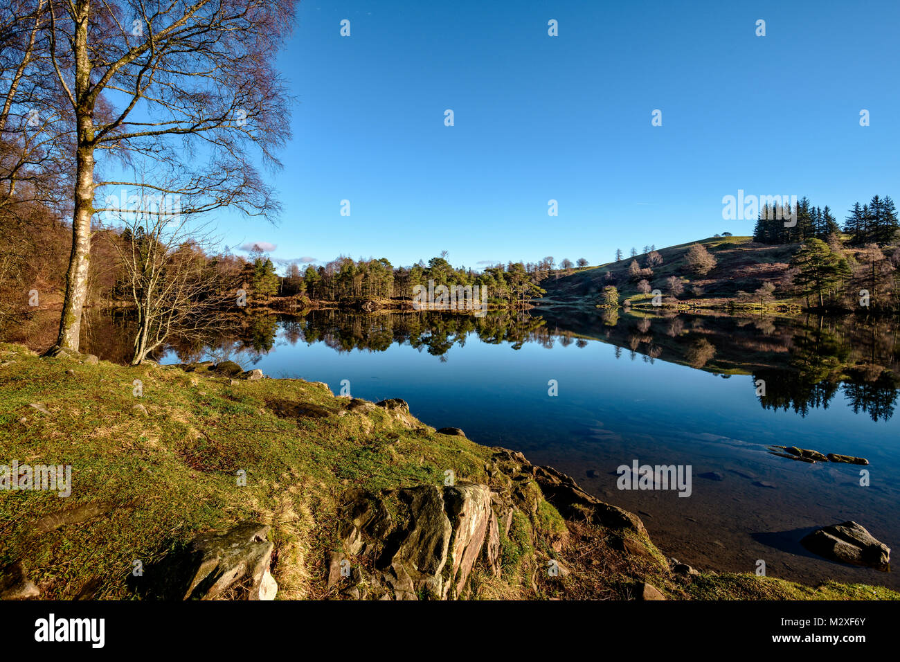 Tarns Hows con specchio-simili riflessioni su un freddo, chiara, calma giornata di gennaio. Foto Stock