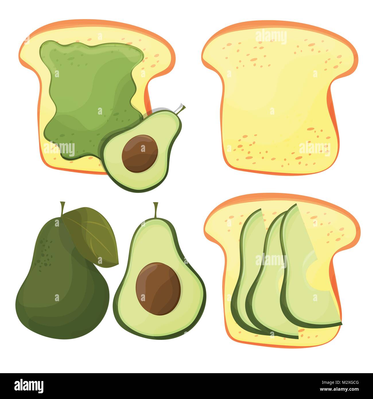 Avocado toast. Fresca pane tostato con avocado. Sandwich delizioso Illustrazione Vettoriale