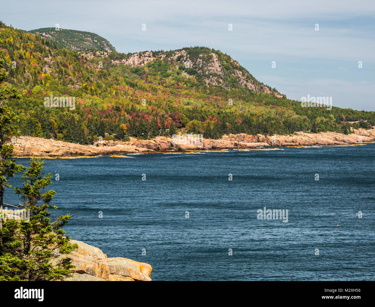 Costa rocciosa acadia np maine Foto Stock
