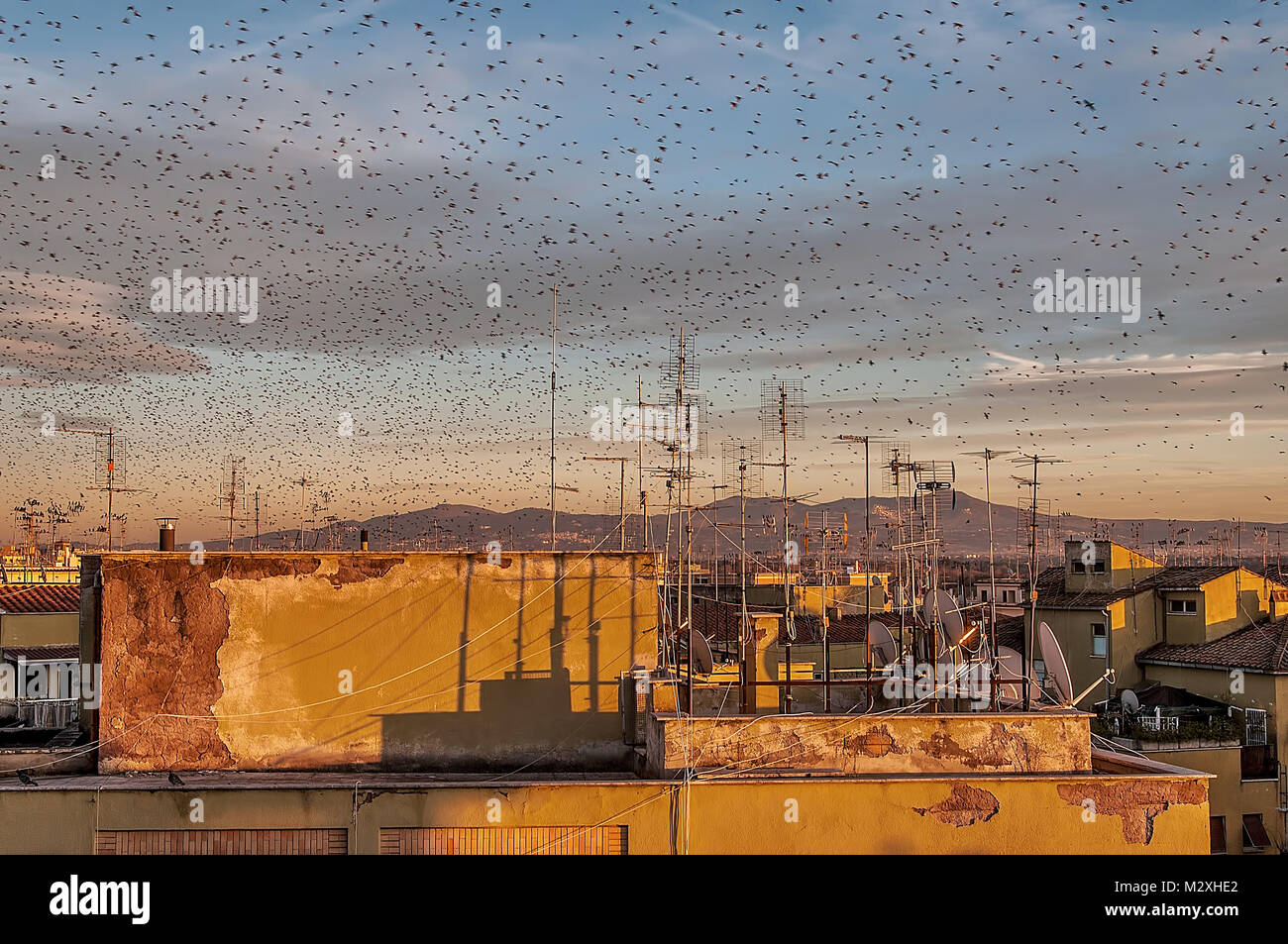 Panorama al tramonto dalla terrazza di un edificio con antenne TV e stormo di uccelli nel cielo Foto Stock
