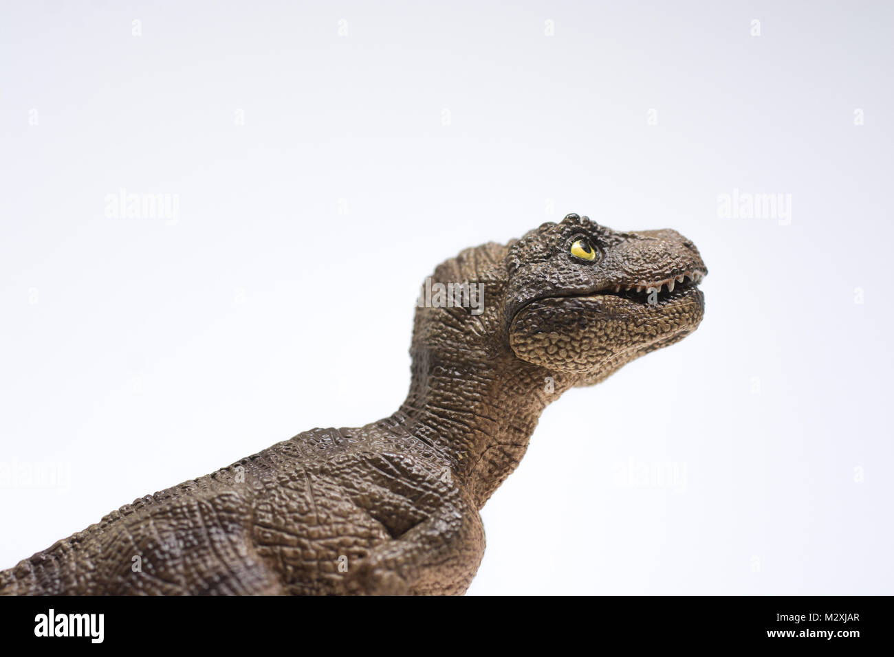 Baby Tyrannosaurus rex su sfondo bianco Foto Stock