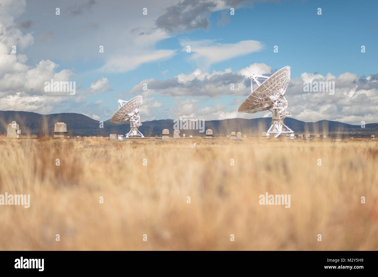 Molto grande schiera (VLA) radio telescopi con la natura in primo piano situato presso il National Radio Astronomy Observatory Sito in Socorro, Nuovo Messico. Foto Stock