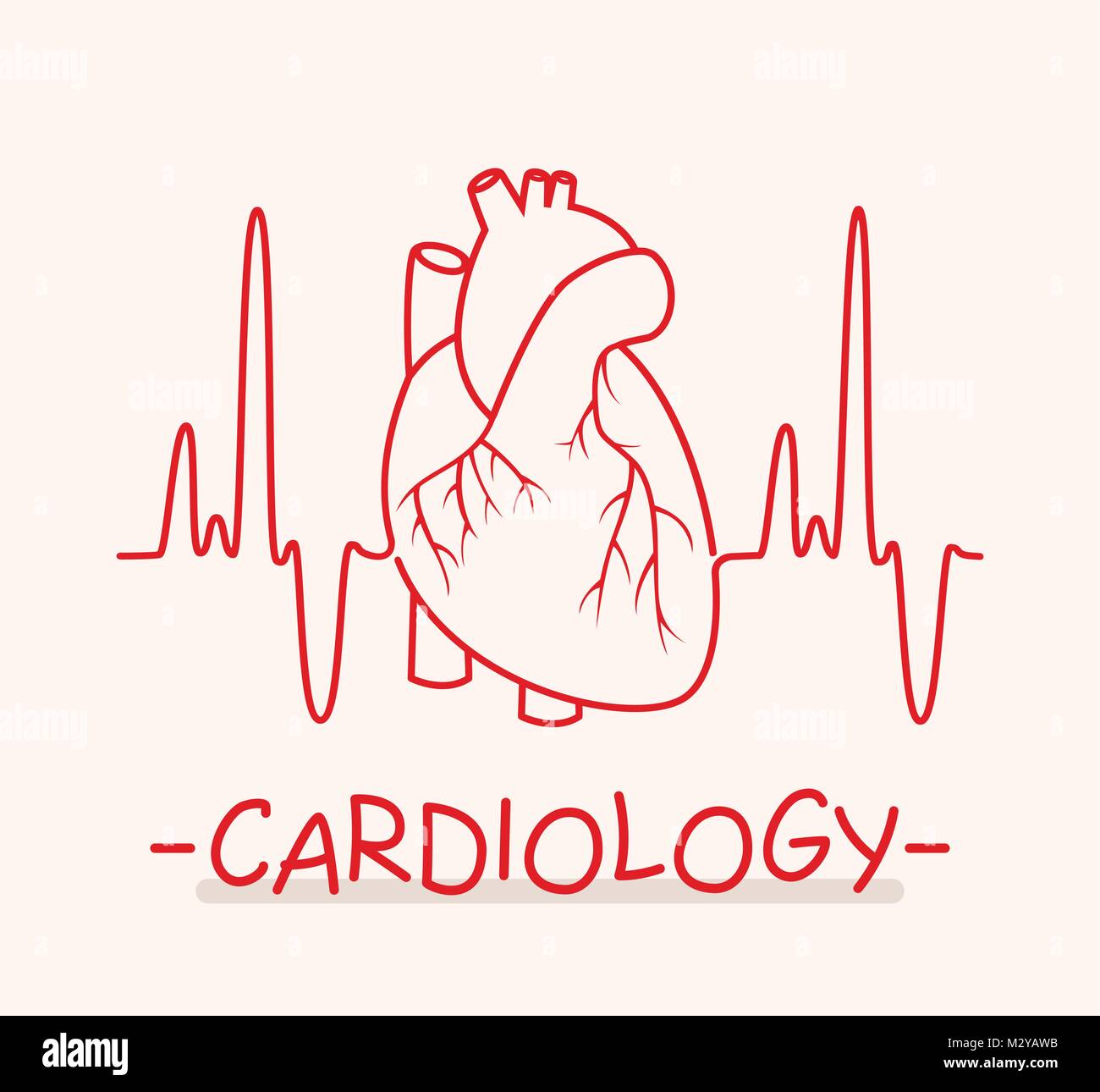 Vettore di cuore umano e heartbeat linea sottile come simbolo di medici di cardiologia ecg cuore grafico degli impulsi Illustrazione Vettoriale