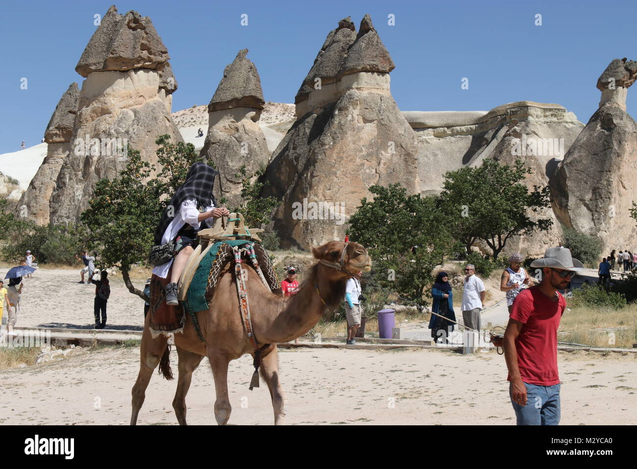 I turisti a cavallo di cammelli mentre visitando la famosa pietra arenaria Camini di Fata in Pasabagi monaci Valley Cappadocia con un luminoso cielo blu sullo sfondo Foto Stock