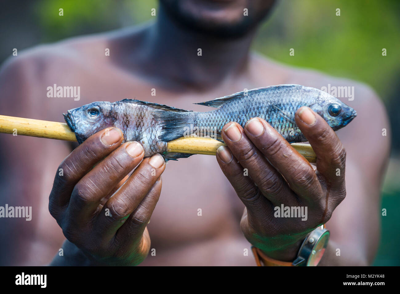Nkhata Bay, il Lago Malawi Malawi, Africa Foto Stock