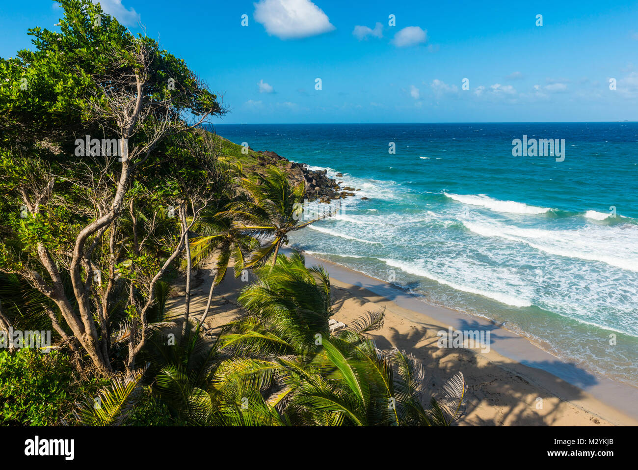 Si affacciano su Petite Anse vicino Sauteurs, Grenada, dei Caraibi Foto Stock