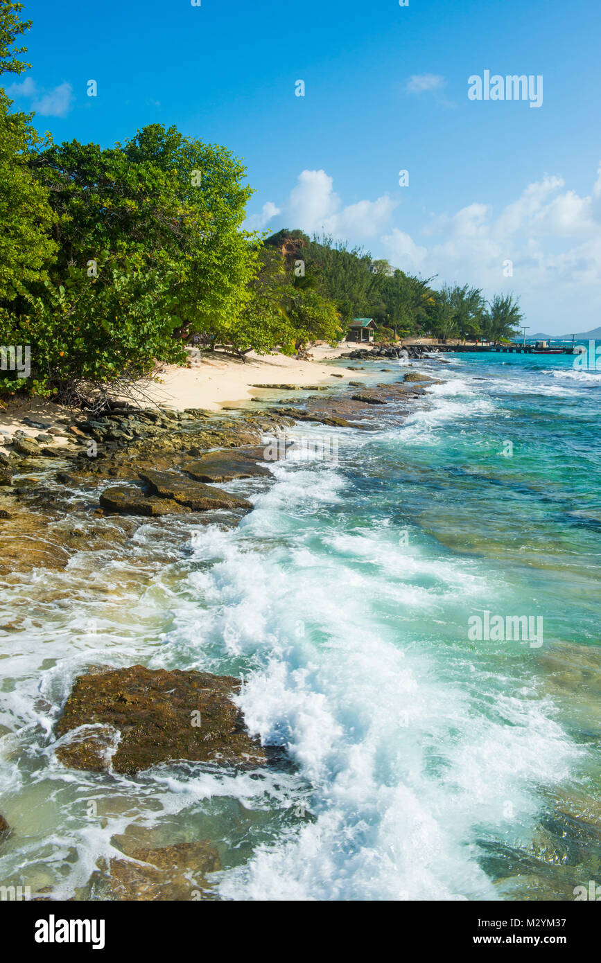 Da Palme spiaggia di sabbia bianca di Palm Island, Grenadine isole di Saint Vincent e Grenadine, dei Caraibi Foto Stock