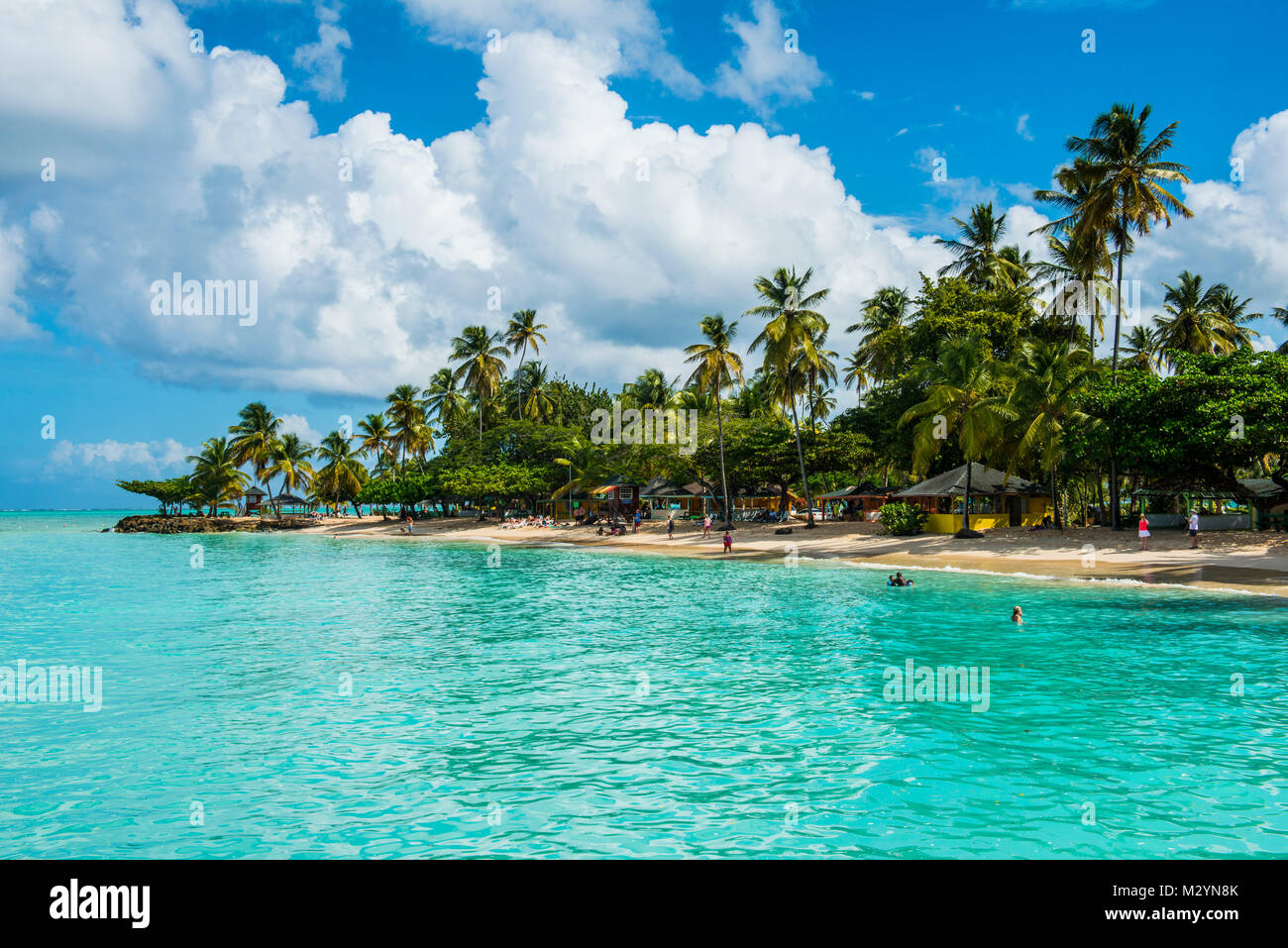 Spiaggia di sabbia e palme di Pigeon Point, Tobago Trinidad e Tobago, dei Caraibi Foto Stock