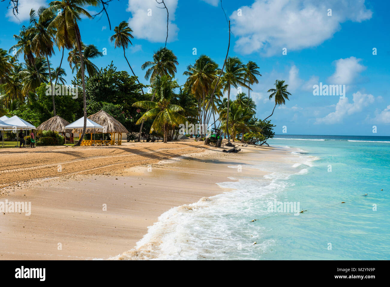 Spiaggia di sabbia e palme di Pigeon Point, Tobago Trinidad e Tobago, dei Caraibi Foto Stock