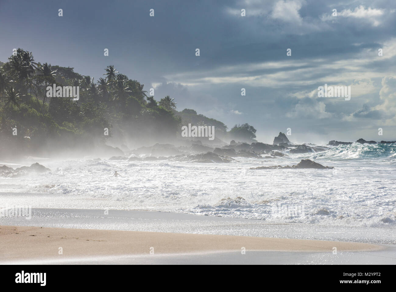 La spiaggia della Baia di Stonehaven, Tobago Trinidad e Tobago, dei Caraibi Foto Stock