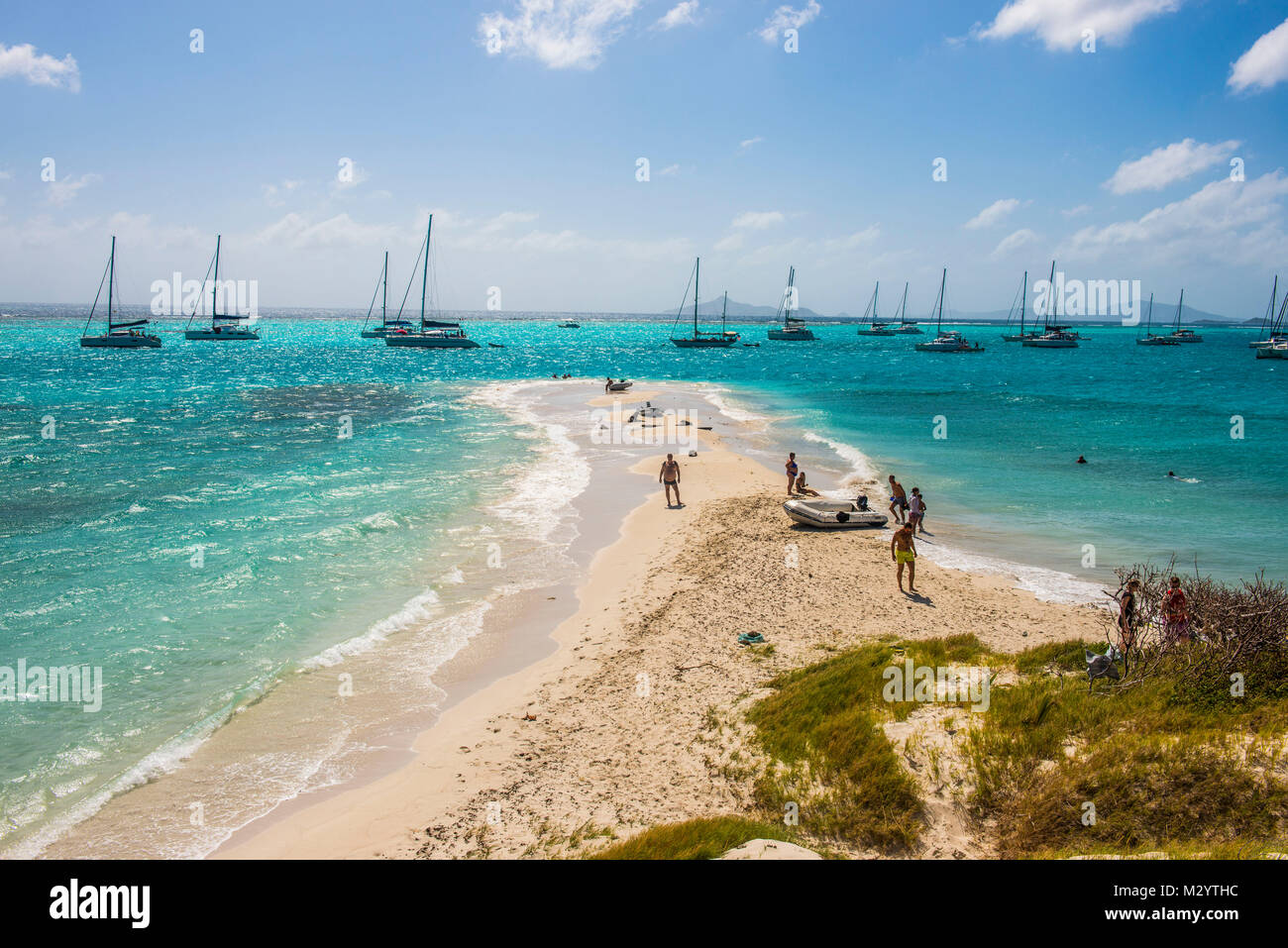 La sabbia bianca banca nelle acque turchesi del Tobago Cays, Saint Vincent e Grenadine, dei Caraibi Foto Stock