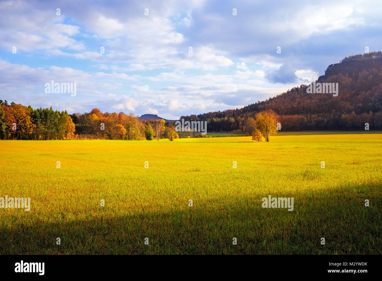 Pomeriggio al Lilienstein vicino a Königstein e Bad Schandau Foto Stock