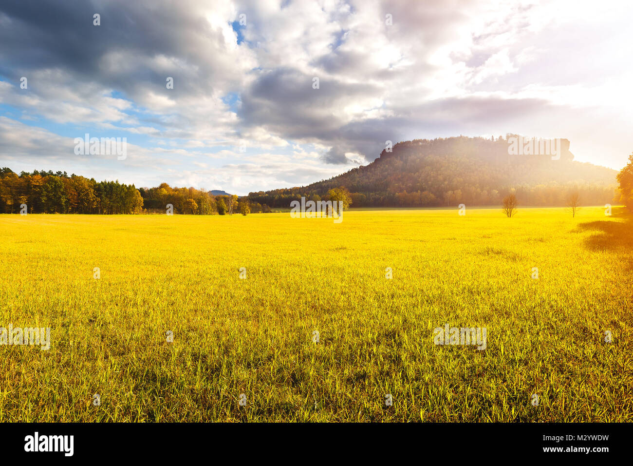 Pomeriggio al Lilienstein vicino a Königstein e Bad Schandau Foto Stock