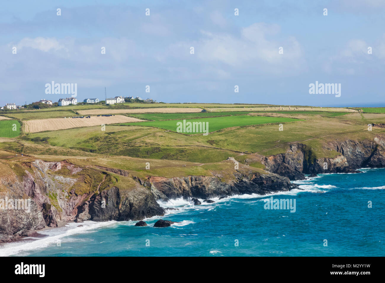Inghilterra, Cornwall, la lucertola Foto Stock