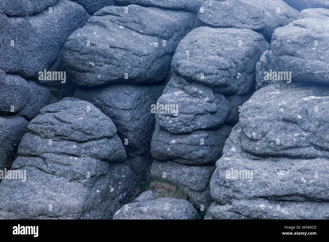 Inghilterra, Devon e Dartmoor Haytor, roccia di granito Patterns Foto Stock