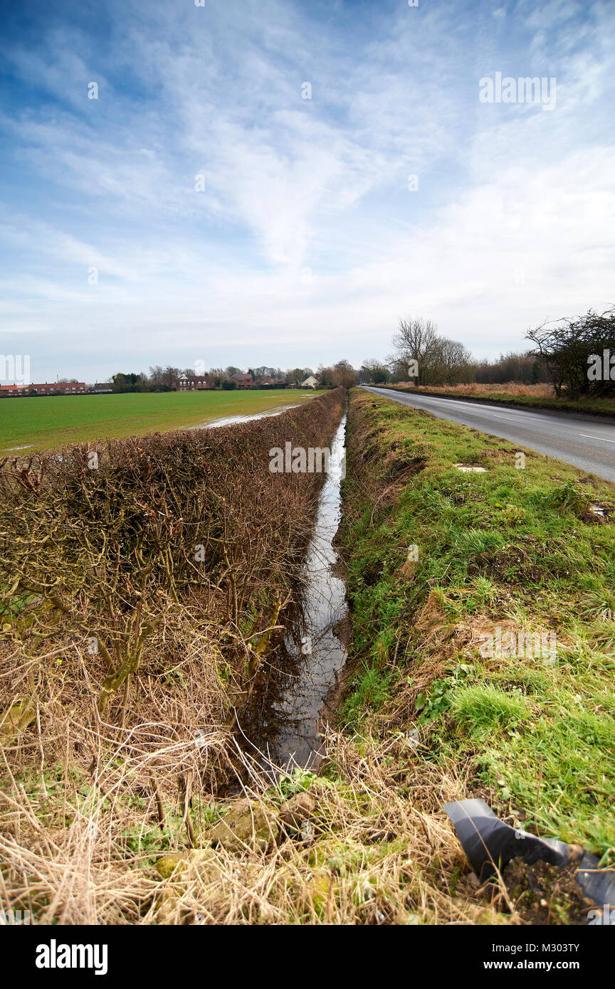 Appena pulita il fosso di drenaggio e agganciata thawn nero hedge in primavera. Regno Unito. Foto Stock