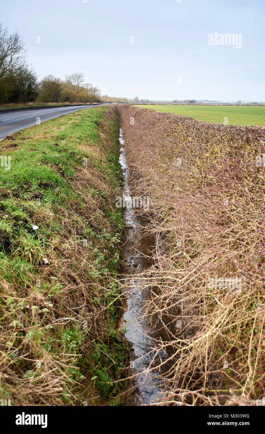 Appena pulita il fosso di drenaggio e agganciata thawn nero hedge in primavera. Regno Unito. Foto Stock