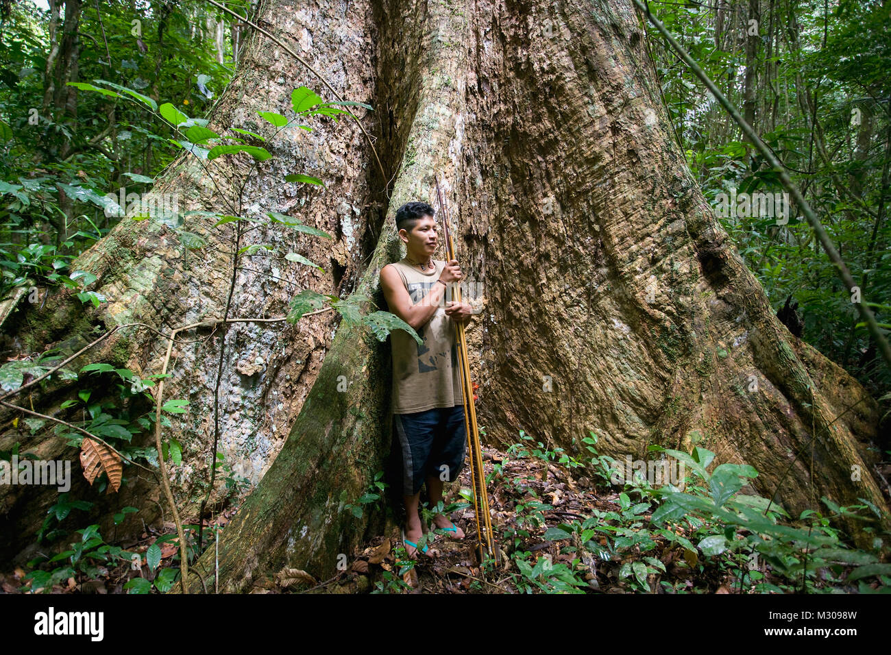 Il Suriname, Kwamalasamutu, Trio indiano con arco e frecce nella parte anteriore del gigante (albero) della foresta. Foto Stock