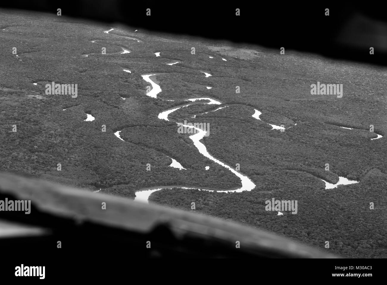 Densa foresta pluviale amazzonica, attraversato da fiumi, è visto dal cockpit di un Douglas DC-3, Aeromobili sorvolano il dipartimento di Guainía, Colombia. Foto Stock