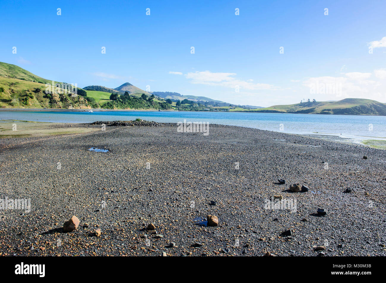 Splendida costa della penisola di Otago, Isola del Sud, Nuova Zelanda Foto Stock