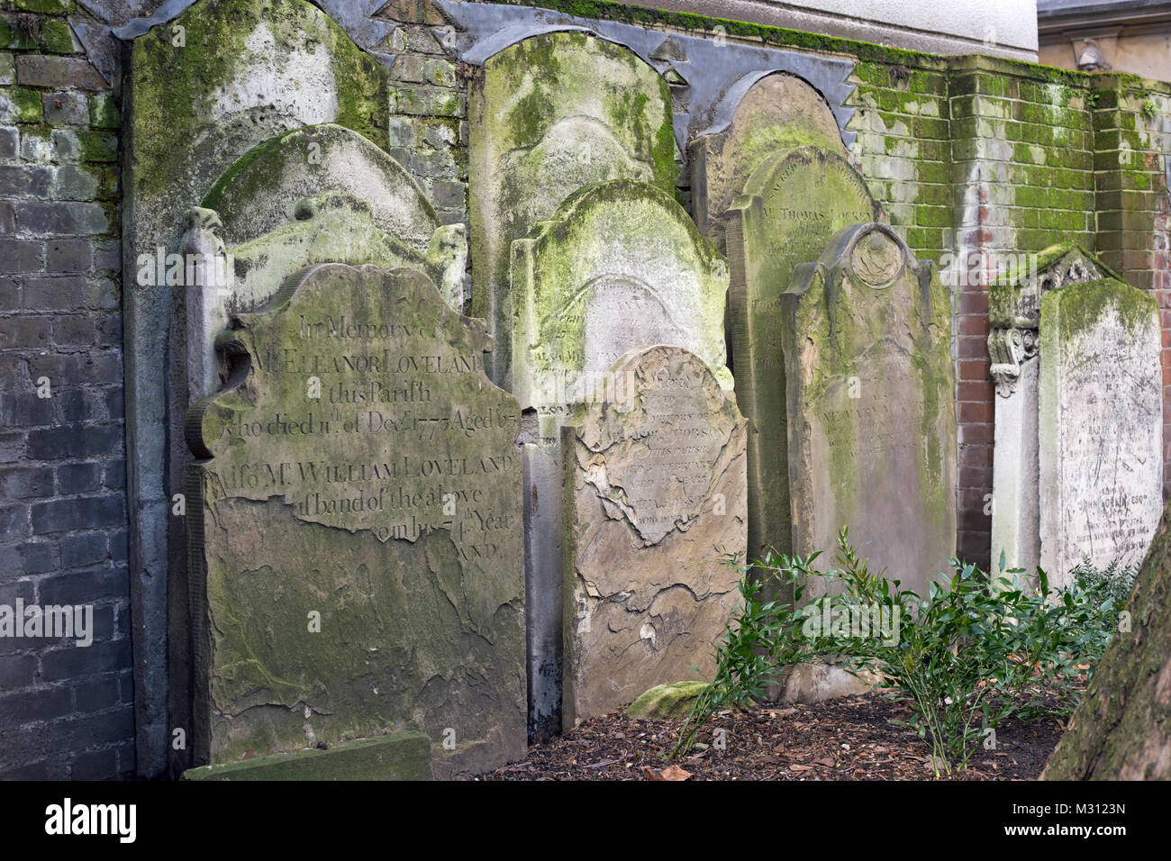 Londra, Inghilterra, febbraio 2018, tombe impaccati ermeticamente in un cimitero della città Foto Stock