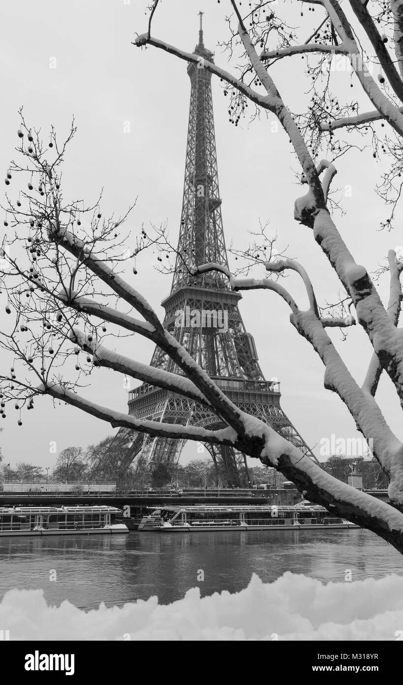 Il Bianco E Nero Della Torre Eiffel Da Un Giardino Con Alberi Di Nudo In Inverno Parigi Francia Foto Stock Alamy