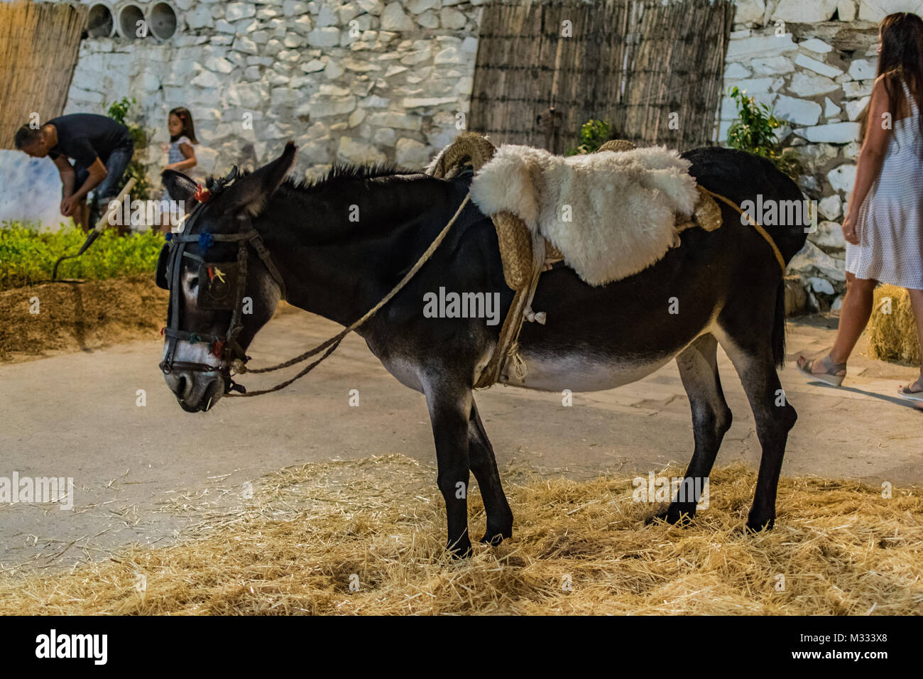 Spagna. Murcia. Los Alcazares. Il 23 agosto 2017. Fiesta del paesaggio e del mare. sulla mia recente vacanza. Foto Stock