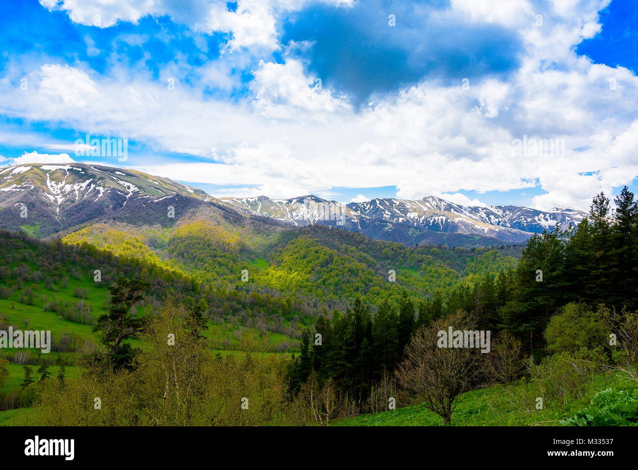 Serena foresta verde lussureggiante paesaggio con il cielo blu e nuvole gonfi. Snow capped montuosa con cielo blu e nuvole gonfi con vegetazione lussureggiante. Foto Stock