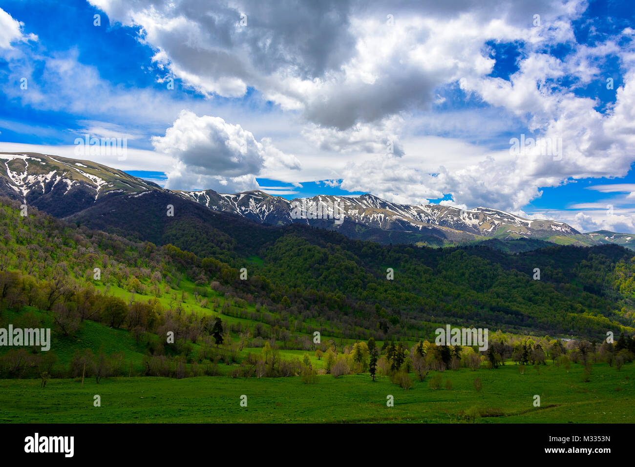 Serena foresta verde lussureggiante paesaggio con il cielo blu e nuvole gonfi. Snow capped montuosa con cielo blu e nuvole gonfi con vegetazione lussureggiante. Foto Stock