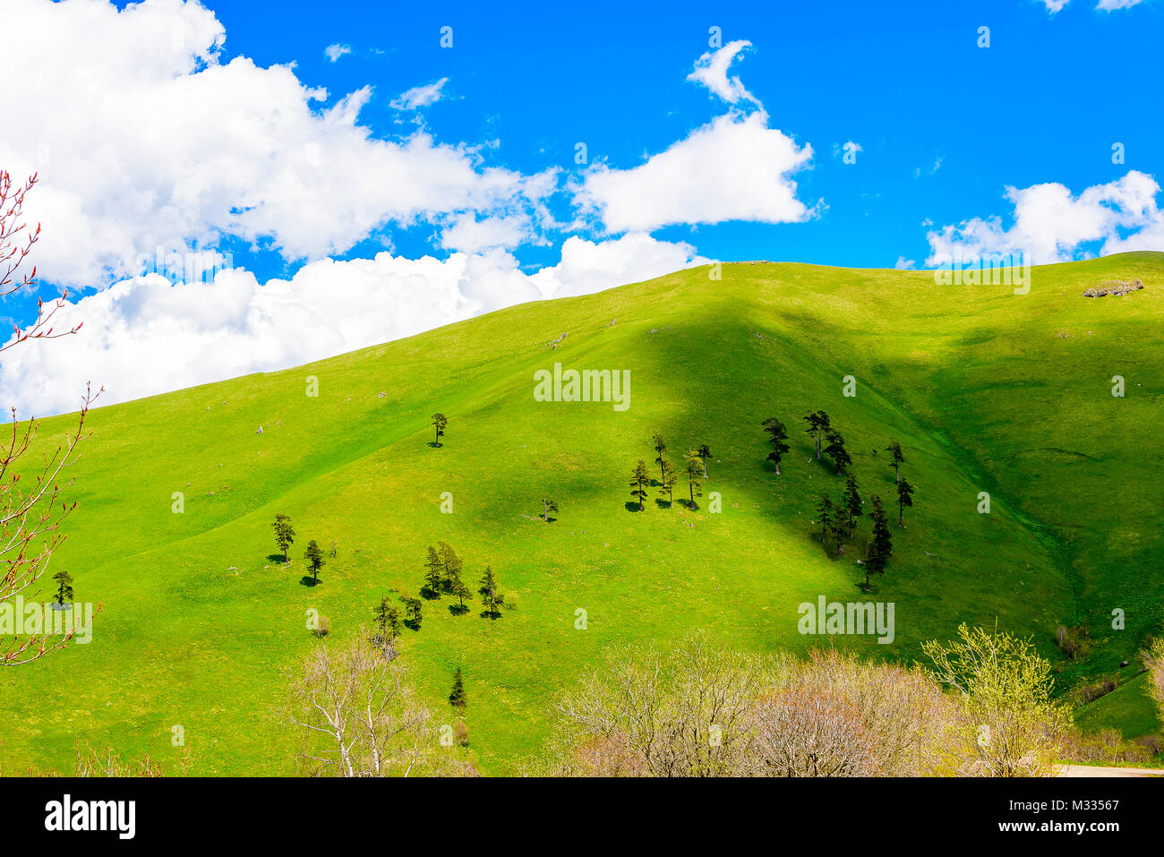 Serena foresta verde lussureggiante paesaggio con il cielo blu e nuvole gonfi. Snow capped montuosa con cielo blu e nuvole gonfi con vegetazione lussureggiante. Foto Stock