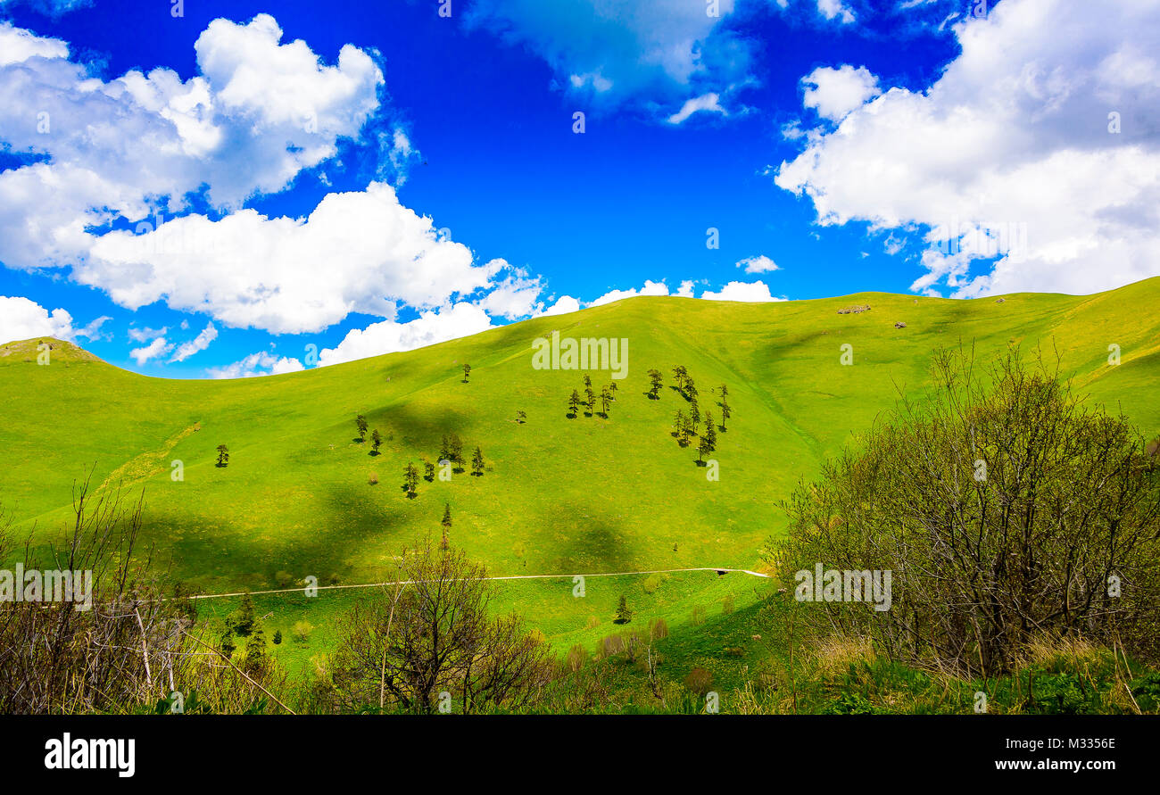 Serena foresta verde lussureggiante paesaggio con il cielo blu e nuvole gonfi. Snow capped montuosa con cielo blu e nuvole gonfi con vegetazione lussureggiante. Foto Stock