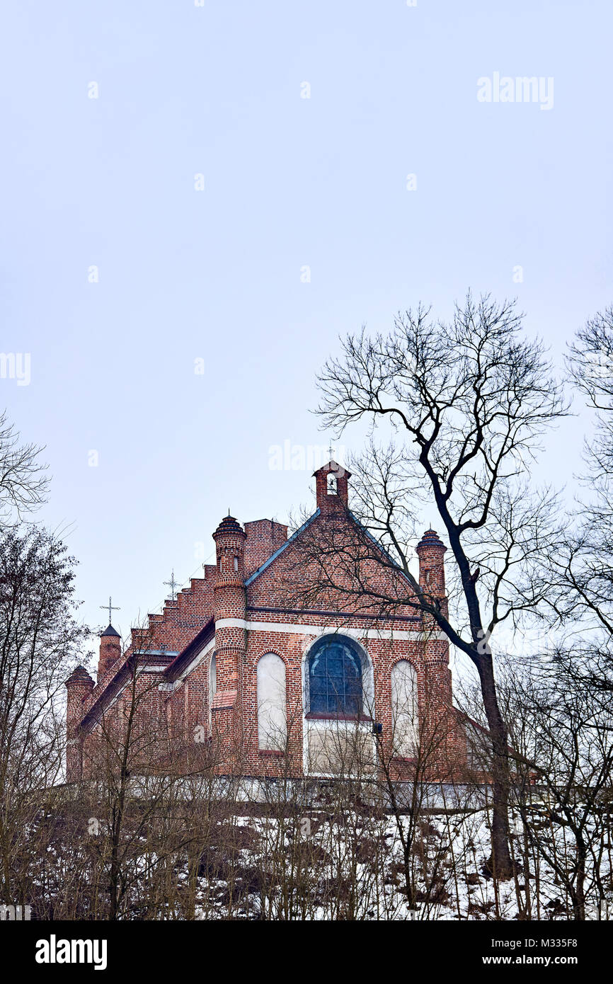 Chiesa dell'Annunciazione della Beata Vergine Maria visto fron Narew riverbank in Serock, Polonia Foto Stock