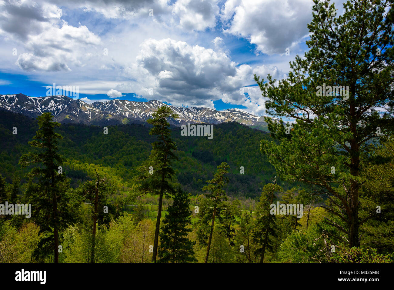 Serena foresta verde lussureggiante paesaggio con il cielo blu e nuvole gonfi. Snow capped montuosa con cielo blu e nuvole gonfi con vegetazione lussureggiante. Foto Stock